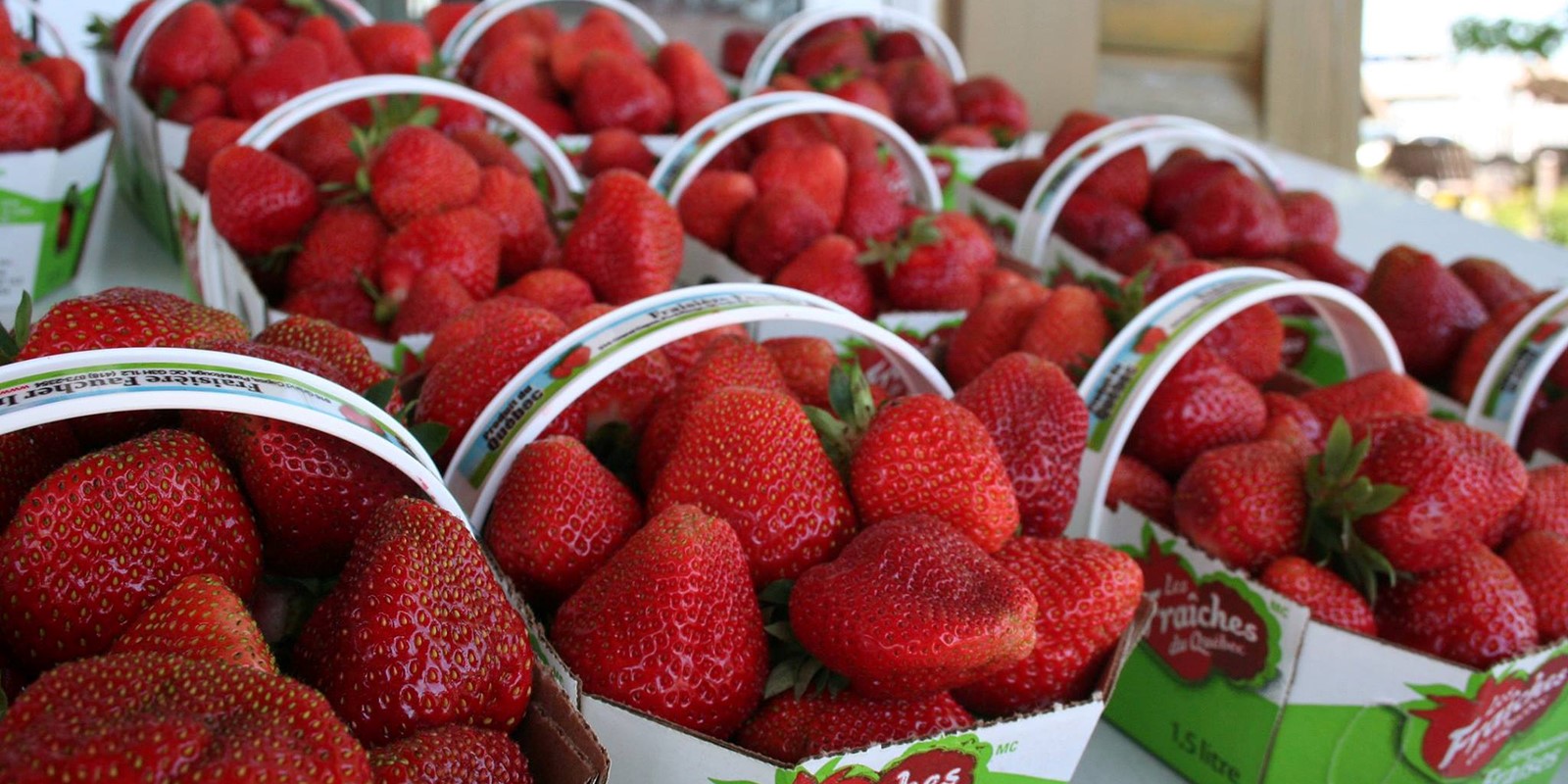 Fraisière Faucher Inc.