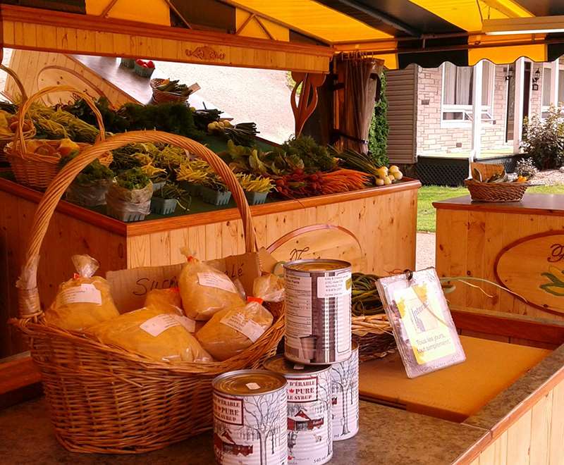 Potage aux carottes au lait de coco et gingembre Potage aux carottes au lait de coco et gingembre